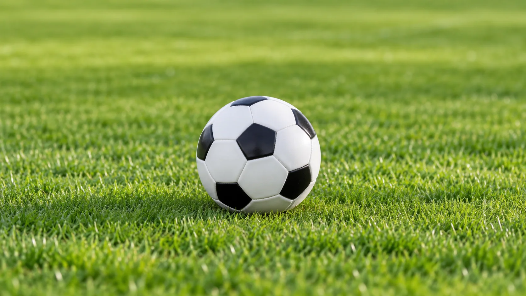 yy体育